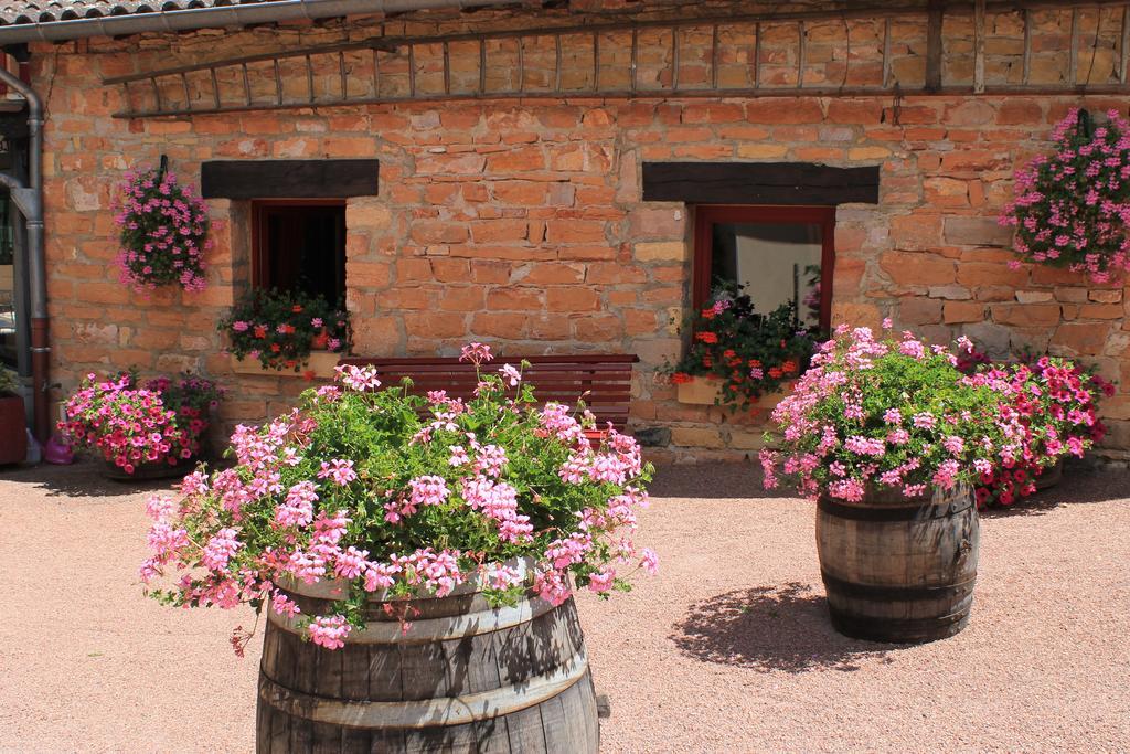 Hotel Restaurant Le Moulin De Saint Verand Ngoại thất bức ảnh